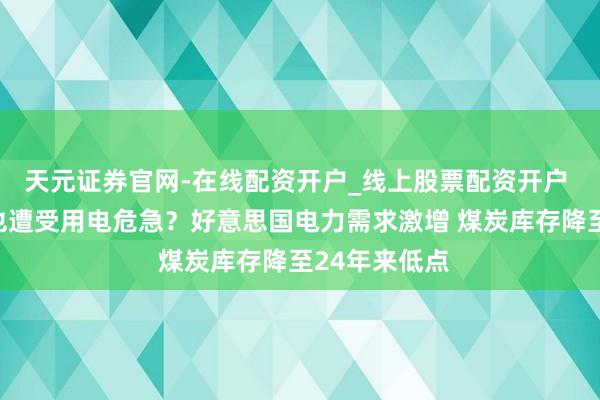 天元证券官网-在线配资开户_线上股票配资开户 好意思国恐也遭受用电危急？好意思国电力需求激增 煤炭库存降至24年来低点