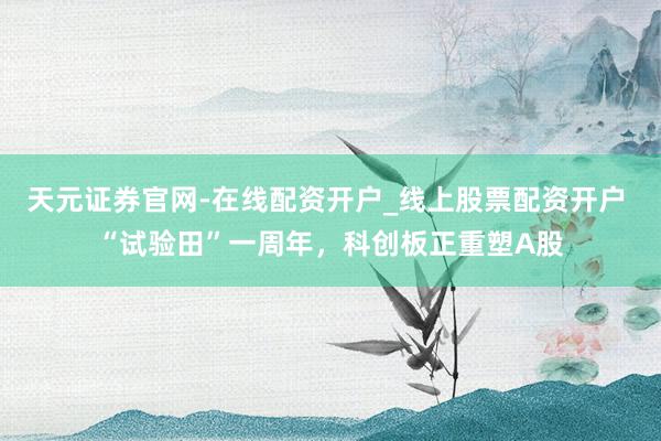 天元证券官网-在线配资开户_线上股票配资开户 “试验田”一周年,科创板正重塑A股