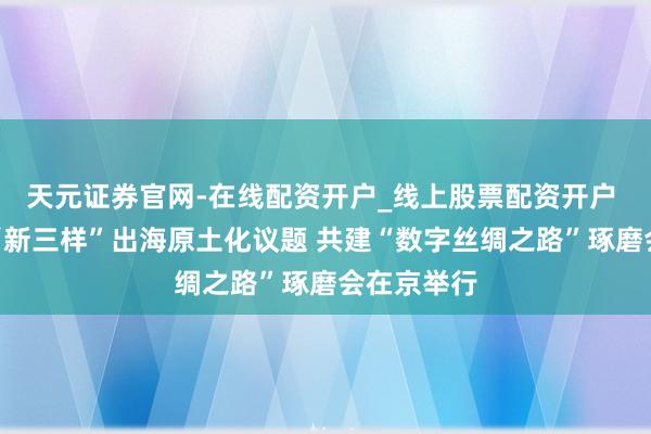 天元证券官网-在线配资开户_线上股票配资开户 关切文化“新三样”出海原土化议题 共建“数字丝绸之路”琢磨会在京举行